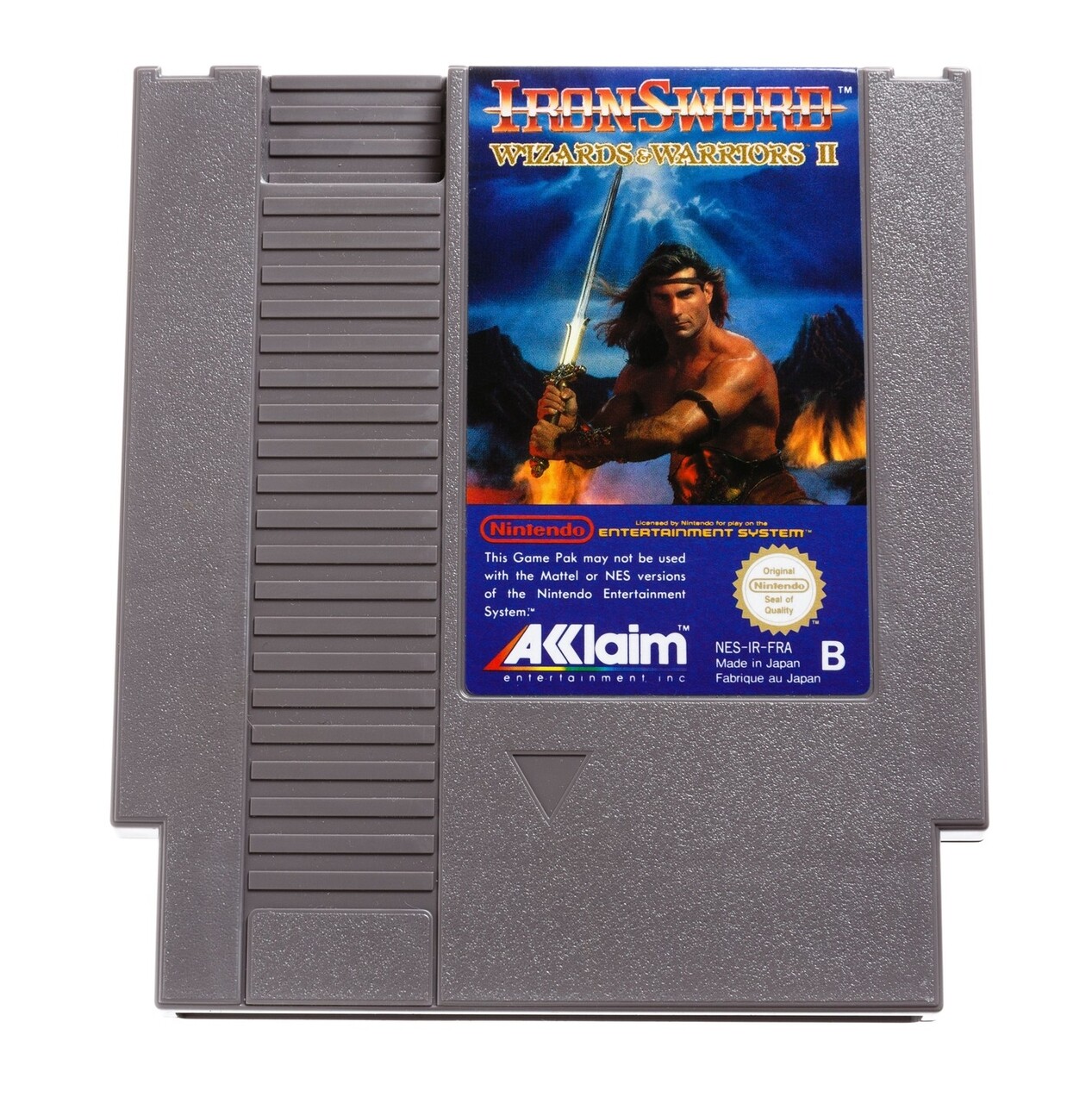Iron Sword Wizards and Warriors II (German)